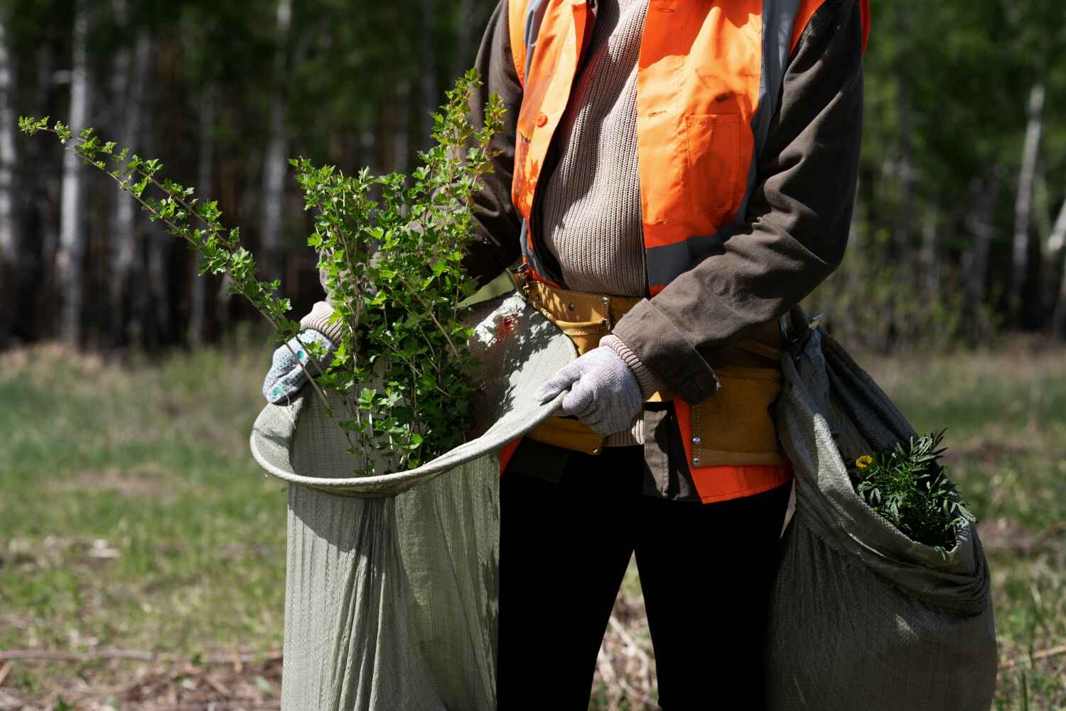 Butler, GA Tree Service Company